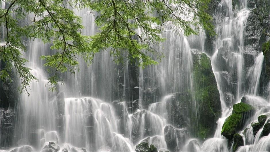 虫虫助手下载